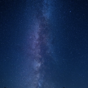 Celestial Veil Over Pines