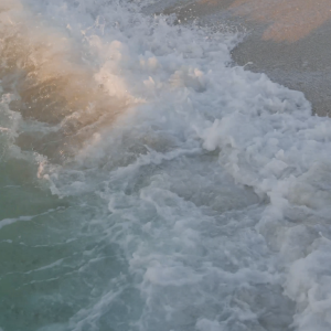 Whispers of the Tide