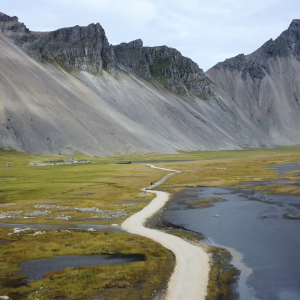 Path Through the Wild Silence