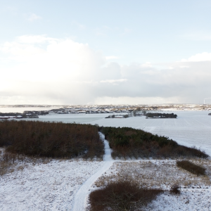 Frozen Horizon – Winter Landscape with Distant Town