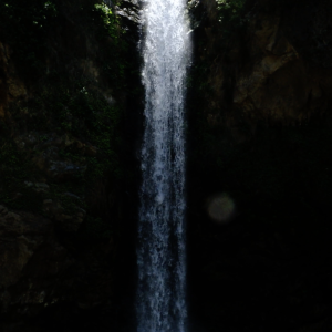 Veil of Serenity – Hidden Waterfall in the Wild