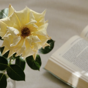 Petals & Pages