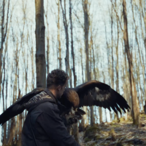 Falconer's Bond